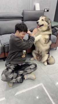 现在的狗子太难了