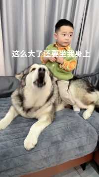 这娃带的真是厌烦疲倦😂