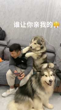 摸我可以但是绝对不能亲我