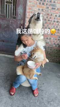 为了口吃的也是没谁了