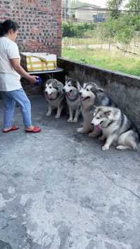 像不像小时候的我们