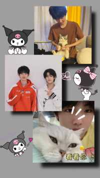 想不到吧 我们ag连猫猫都可以卷