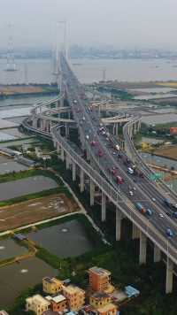 历时5年建设，投资超111亿，中国超级工程，南沙大桥