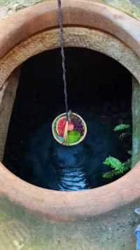 好怀念小时候炎热的夏天把芒果冻在水井里，拿出来吃冰冰凉凉的一口下去全是肉超满足。可惜水井被淘汰了，