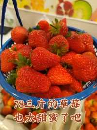 78三斤的大个甜蜜草莓，太好吃了#张家界美食#水果#草莓🍓