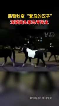 1月20日，宁夏银川。八匹马在市区奔跑，民警秒变“套马的汉子”，深夜街头牵马寻失主。