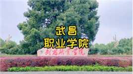 武昌职业学院，位于江夏五里界中洲大道，可以定向培养士官生