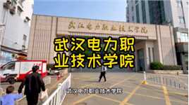 武汉电力职业技术学院，与武大华师是邻居。毕业了可进国家电网？
