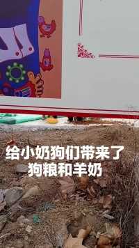 今天给小奶狗们送去了狗粮和羊奶，牠们的父母没了，只有兄弟姐妹相依为命。#中华田园犬#众生平等