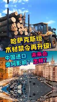 哈萨克斯坦木材禁令再升级？中国进口受何影响？