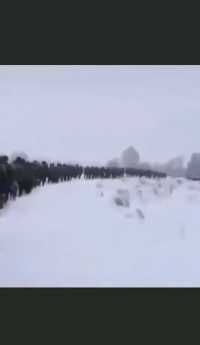 俄罗斯军队正在向俄乌边境前进，大毛这次是真的怒了。