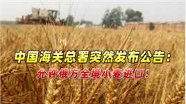 23日当天，中国海关总署突然发布公告：允许俄方全境小麦进口！