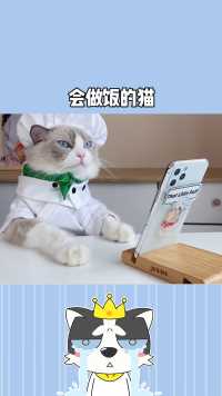 Get 到新鲜的技能会做饭的猫