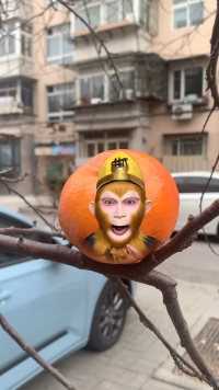 猴哥72变，变成一个大橘子。