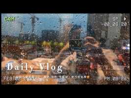 Daily Vlog｜小厨娘小晨美食日记上集