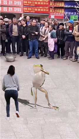 a青蛙舞