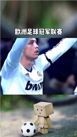 5个世界足球先生 3个欧洲杯冠军 1个欧洲足球冠军联赛冠军 