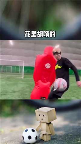 伊布花里胡哨的足球