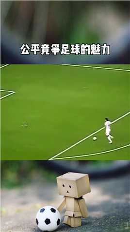 公平竞争足球的魅力