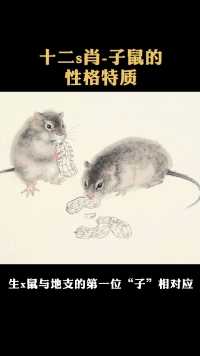 十二生肖之子鼠的性格特质#十二生肖#子鼠