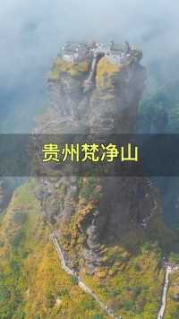世界自然遗产，现实版的天空之城，这就是贵州铜仁梵净山，此生一定要来体验一下！