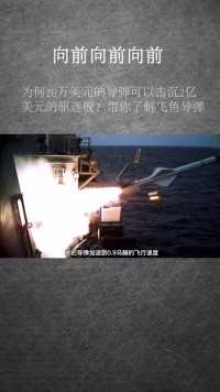飞鱼导弹最大的特点就是可以掠海飞行从而躲避敌方雷达的搜索#军事#反舰导弹