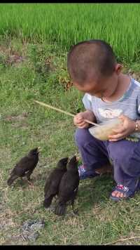 儿童与小鸟的友谊，万物皆有灵性的自然风光