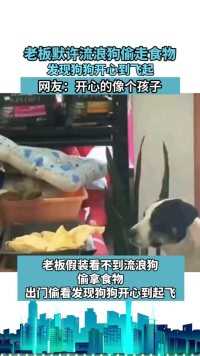 老板默许流浪狗偷走食物，发现狗狗开心到飞起。网友：开心的像个孩子！