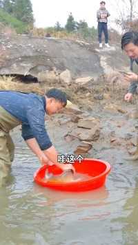 村后面的荒废小鱼塘，竟然出现大锦鲤