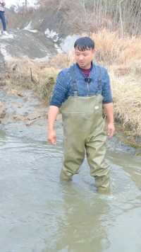 村后面荒废小鱼塘，竟然出现大锦鲤？？（下）