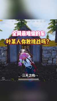 快帮我把叶某人抓回来！