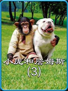 这只黑猩猩不仅会遛狗，还会给爷爷送便当 #影视解说