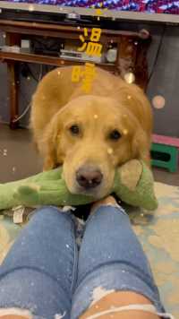 有了夏天这个小暖炉、这个冬天不怕脚冷了