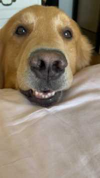 你们的夏天小可爱叫你们起床了不要睡懒觉了，快点接收吧