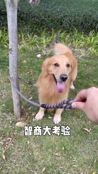 夏天：我差点被一颗树给困住了