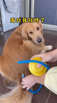 万物皆可打打气，我试过了是真的可以打一只大金毛出来、你们要不要试下