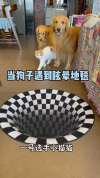 当狗子遇到眩晕地毯