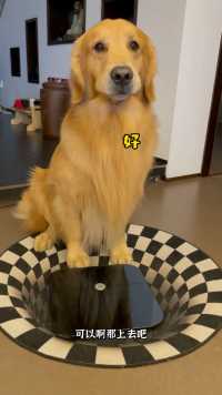 好久没有给夏天称体重了、让他自己上体重秤称在自己、最近好冷果然瘦了几两