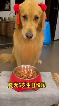 今天是夏天五岁生日、仪式感还是要有的