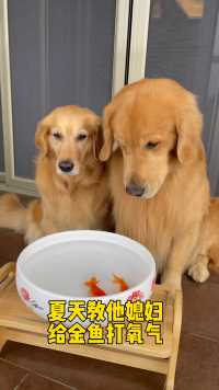 夏天终于教他媳妇打氧气了、你们看学的怎么样