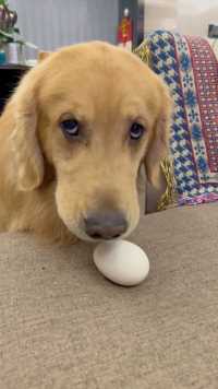 OMG，这是俺的北鼻