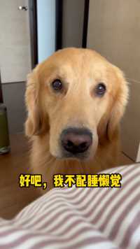 好吧再也不敢睡懒觉了，怕夏天带着他的金鱼离家出走