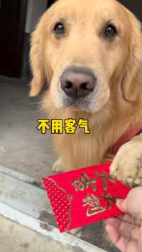 这像不像过年亲戚给你发红包时的情景