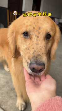 还以为今天没有拔到萝卜空手回来了、没想到今天有硬菜啊、就是少了点