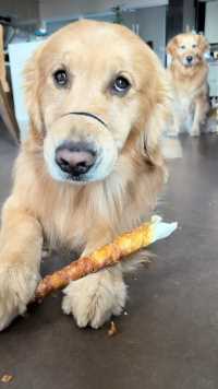 夏天脾气那么好应该不会生我的气吧