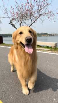 玩物复苏、让我们来场春天的约会吧、一起去春游