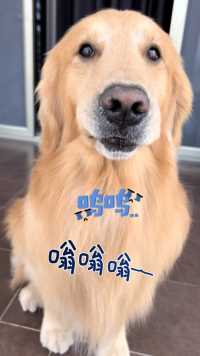 撒娇就是这样要声音低再跺下脚吗