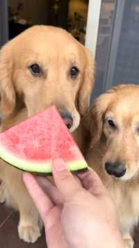 普通吃货和超级吃货的区别