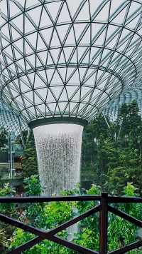 世界上最高的室内瀑布，位于新加坡樟宜机场的星耀樟宜，瀑布高达40米 %视觉震撼%旅游%风景