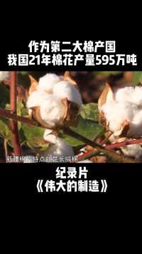 作为第二大棉产国，我国21年棉花产量595万吨#纪录片 